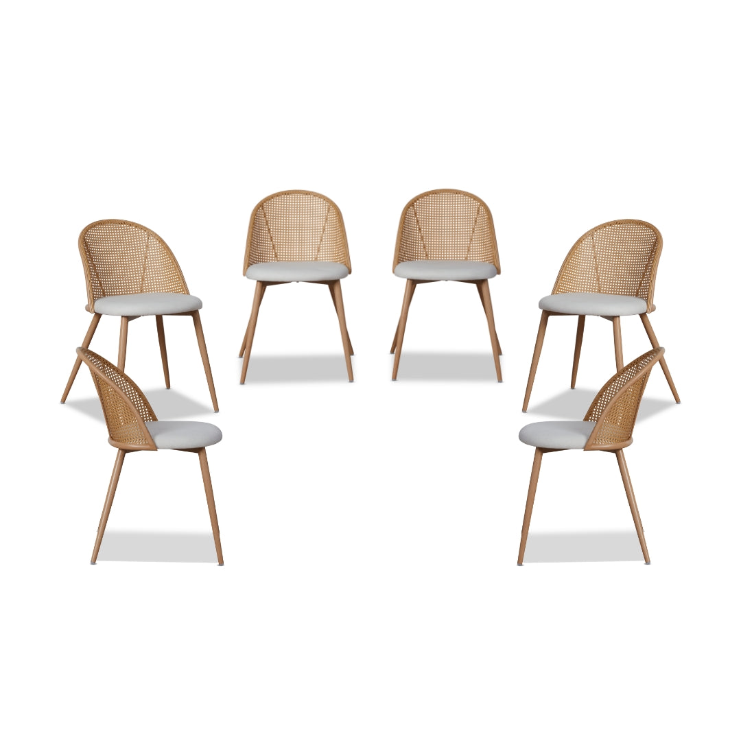 Avila Dining Chair - Natural Set of Six Bundle - Mocka New Zealand