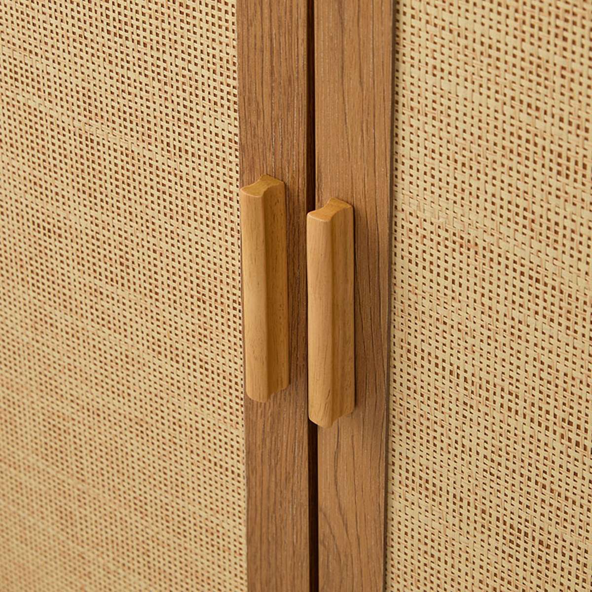 Canyon Two Door Cabinet - Mocka New Zealand