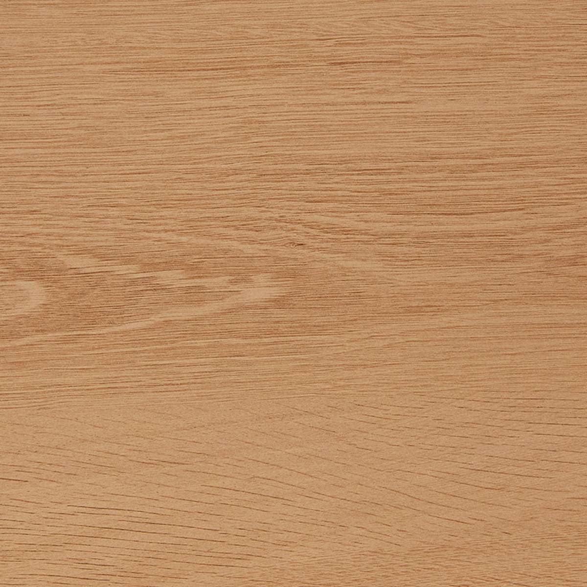 Archie Tallboy - Mocka New Zealand