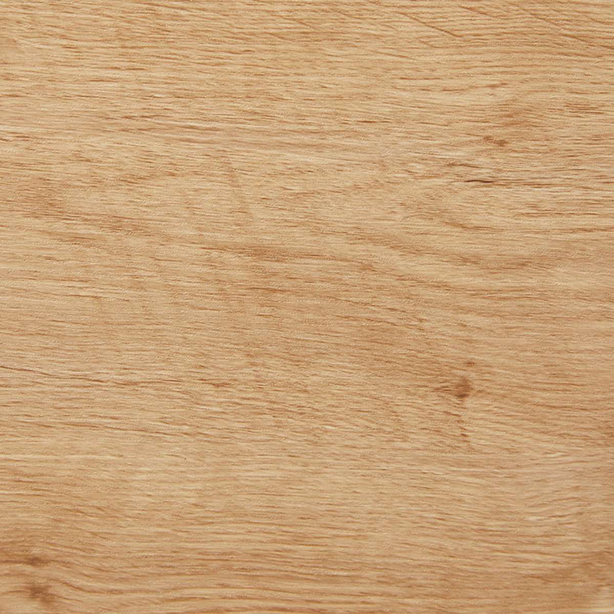 Spotty Tallboy - Cream - Mocka New Zealand