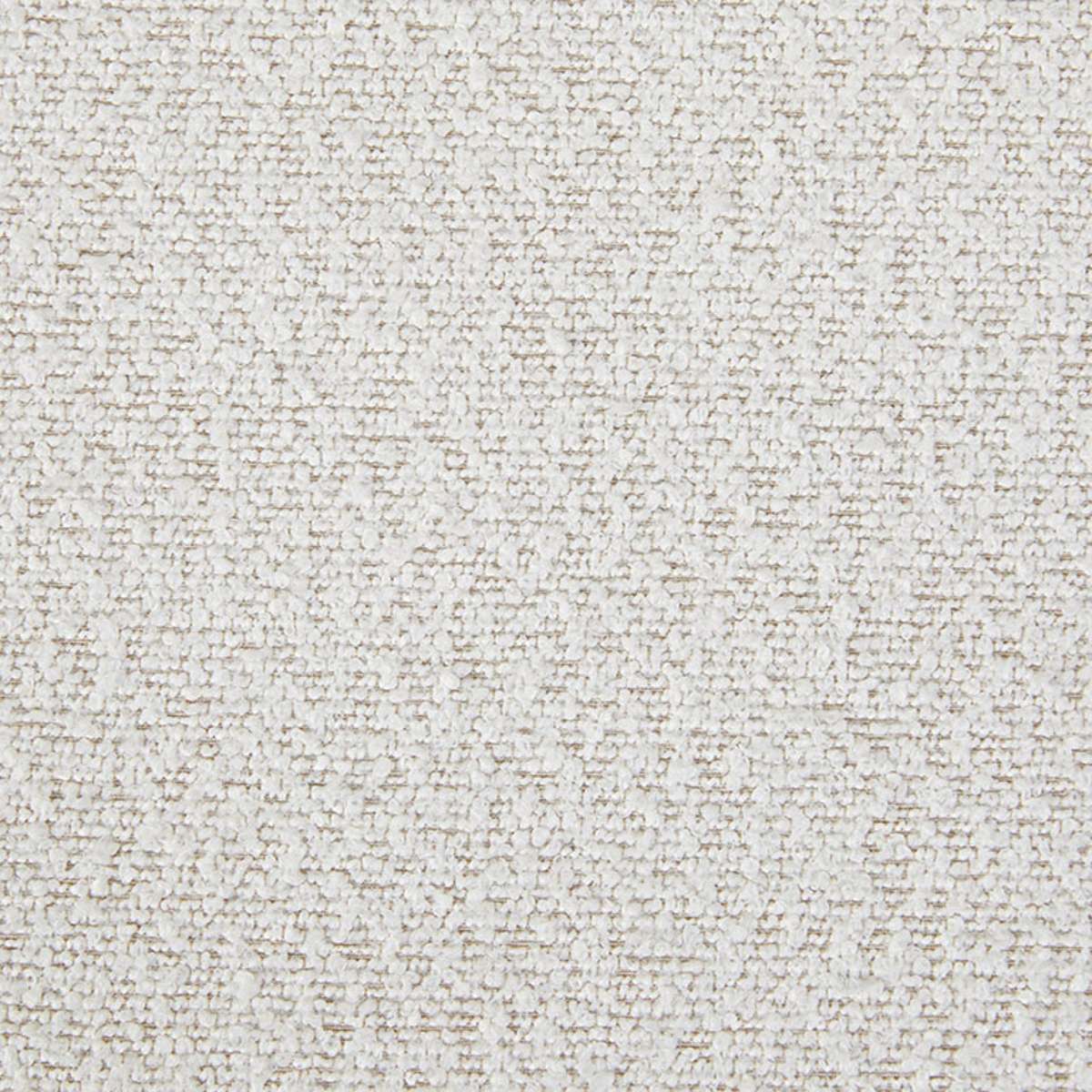 Willa Curved Dining Chair - Set of Two - Cream - Mocka New Zealand