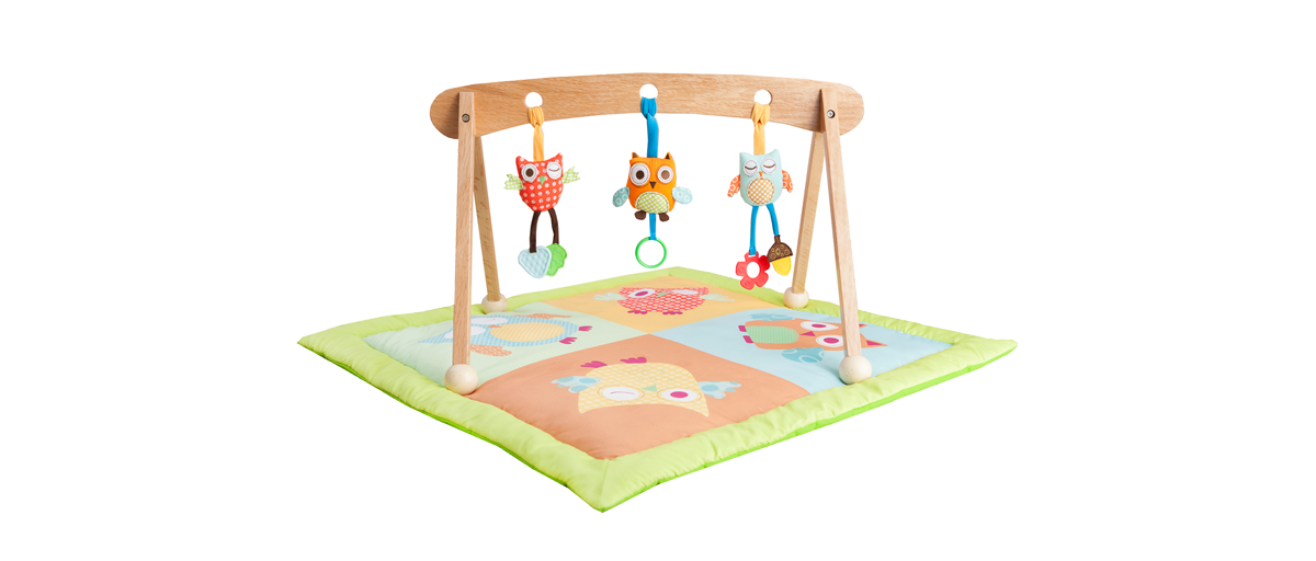 play mat and gym